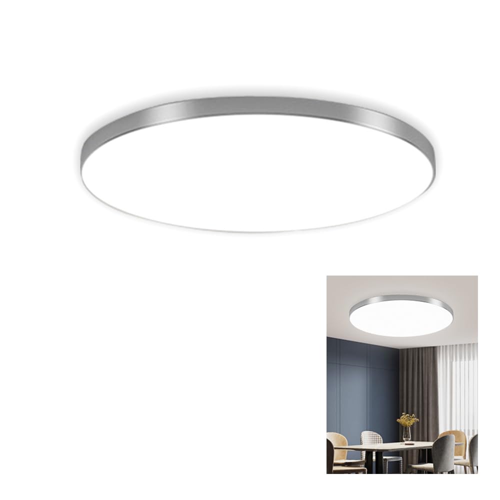 Chao Zan Bathroom Light, 30W Ceiling Lights, Waterproof IP44, Dome, Modern, Dimming 3000k/4000k/6000k,Flush Ceiling Light for Kitchen, Toilet, Porch, Bedroom, Corridor Φ270mm (Silver, 30W)