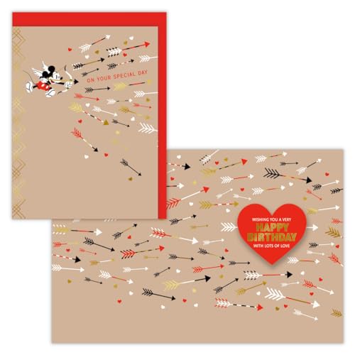 z[}[N fBYj[ o[Xf[J[h USAfUC ~bL[ n[g 830397