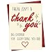 Cheerin Thank You Card – Elegant Thank You Greeting Card with Envelope – Thoughtful Appreciation Gift for Teacher, Boss, Friend, Coach, or Colleague