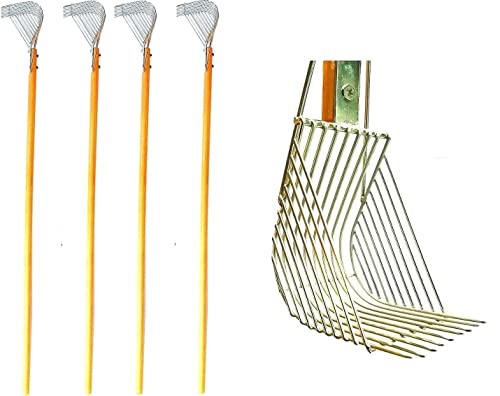 Pescasubito.com Rastrillo De Acero Inoxidable Pequeño Recogida Telline Almejillas Mejillones Gusanos Tremolina