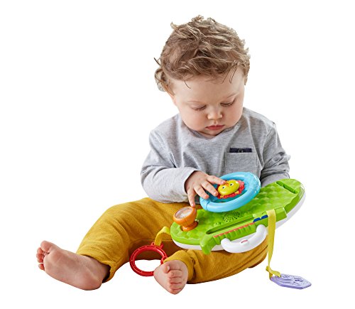 Fisher Price Tableau de Bord Rollin' & Strollin' - vue 5