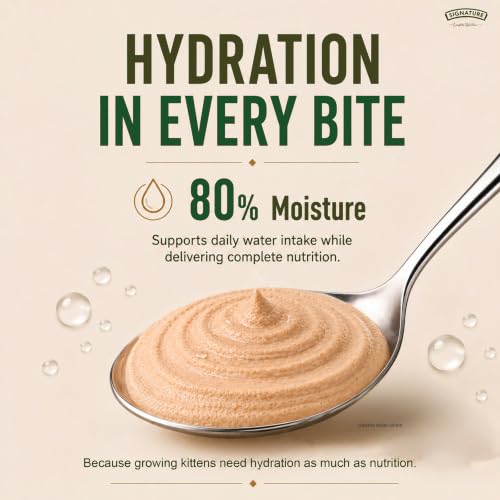 Image of Grain Zero Kitten Wet Mousse 80g Pack of 5, 400g | Tuna Flavour | Rich in Protein, Hydrating & Easy to Digest | Grain Free, No Artificial Flavours | with Essential Vitamins & Antioxidants