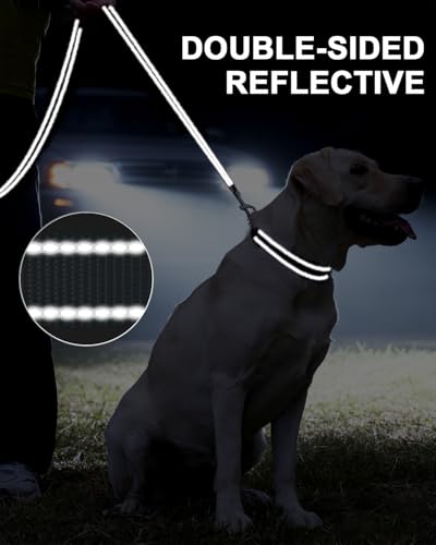 Taglory Hundeleine Mittelgroße Große Hunde Leicht | Doppelseitig Reflektierend | Gepolsterter Griff | Unterstützung 10 bis 75 kg | 1.8m x 2.5cm | Grau