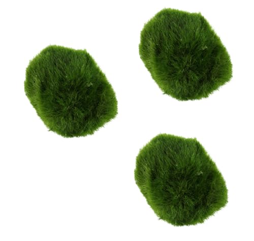 Biotope Aquatics Ltd - Live Marimo Moss Ball Cladophora aegagropila Aquarium Plant (3 x Mini Moss Balls)