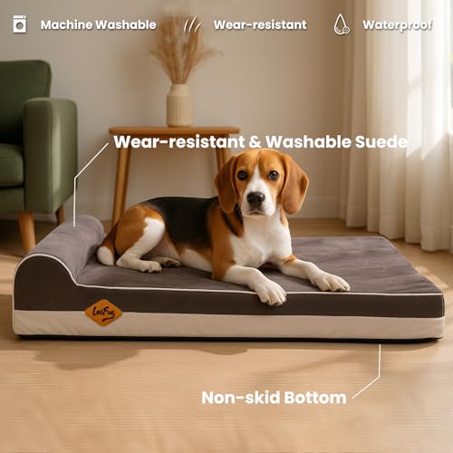 Image of Laifug Orthopedic Dog Beds for Large Dogs,3 inch Memory Foam Dog Beds,Durable Water Proof Liner Removable and Washable, Nonskid Bottom, Grey 34 inchx22 inchx5.5 inch
