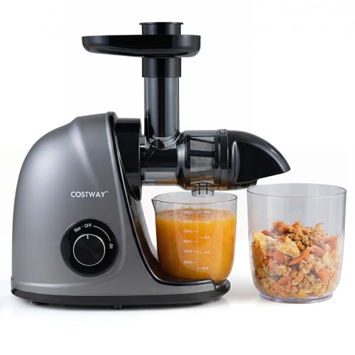 Image of COSTWAY Cold Press Juicer Machine, 95% High Yield Slow Masticating Juicer with 2-Speed Modes & Anti-Jam Reverse, Quiet Motor, Easy to Clean with Brush, BPA-Free, Vegetable and Fruit Juice Extractor