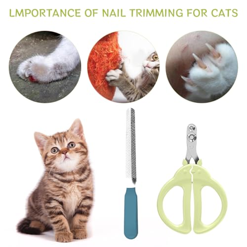 Image of Qpets Cat Nail Clipper, Upgrade Cat Nail Cutter, Dual Hole Pet Nail Nail Cutter for Cat, Stainless Steel Nail Trimmer with Nail File Pet Grooming Tools