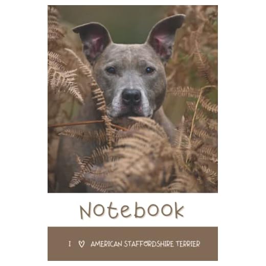 American Staffordshire Terrier: Notebook 6 x 9 Lined, Perfect For Note-Taking (Journal, Diary, School Notebook), 100 Pages