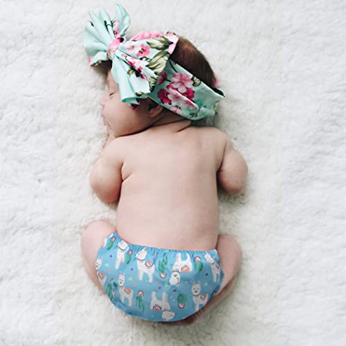image for wegreeco Cloth Diapers 5 Pack with 5 Inserts, Washable Cloth Diapers f