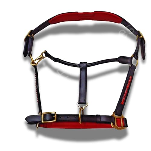 MARTIN ENTERPRISES Anatomical Leather Halter 3 Row Crystal and Padding with Brass Show Headcollar Padded Comfort Poll Headpiece Stainless Steel Fittings HO7 (Pony)