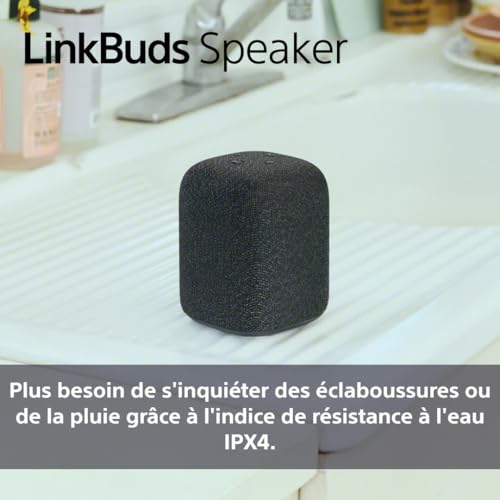Sony Enceinte LinkBuds - Enceinte Portable sans Fil Bluetooth, IPX4, Résistante à l'eau, Batterie de 25 Heures, Qualité d'Appel Clair, Outdoor, Voyage - Noir