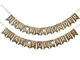 Swanky Party Box | How We Wonder What You Are Burlap Banner | Baby Shower or Gender Reveal Party Decorations