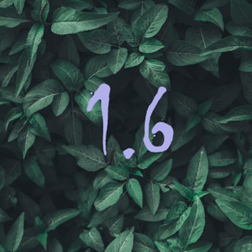 Le cause della Grande Guerra...