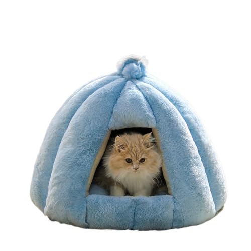 LnEX L ۉ ӂ ybgxbh ӂӂ g Lxbh  ~ ΍ h ~p  p p Lp