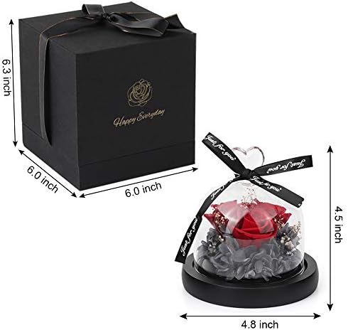 Eternal Rose - Preserved Flowers Handmade Gift Box Rose in a Glass Dome with LED Light, Birthday Presents for Her Mum Girlfriend Wife Grandma on Valentine's Day Mothers Anniversary Christmas 3 Roses