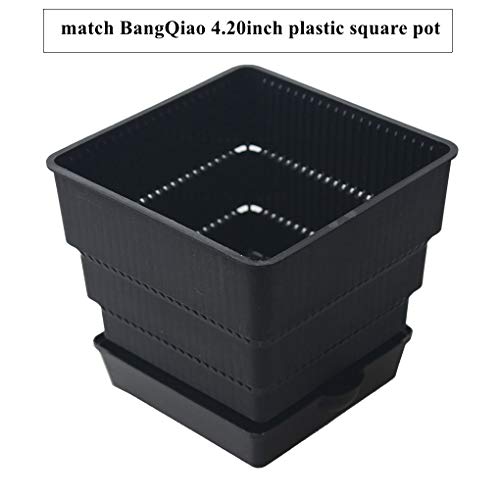 Bangqiao 16 Pack 3.20 Inch Plastic Square Plant Pot Saucer Tray For Indoor And Outdoor Plants, Black #TOP5