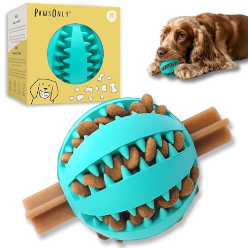 How to stop my dog barking in the garden How to stop my dog barking in the garden