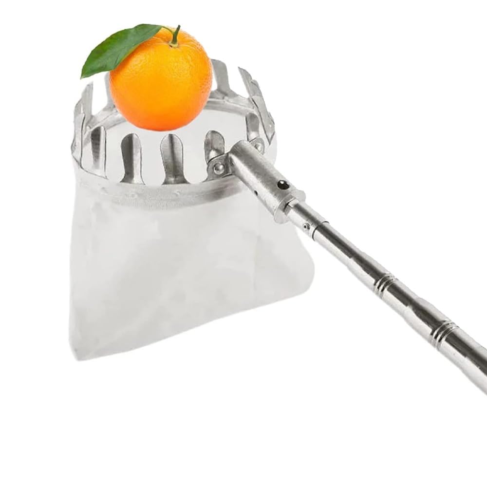 Raccoglitore di frutta Raccoglitore di frutta Raccoglitore di frutta con asta telescopica allungabile for piedi e manico antiscivolo, pratico aiuto for la raccolta di pere, limoni, arance (Size : 6M