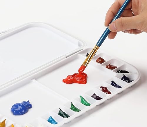 Image of ANMOL Art & Frames Artists' AIRTIGHT Palette 20 Wells for Watercolour and Gouache with a Removable Clear Tray