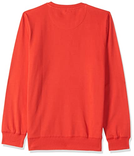 Image of U.S. Polo ASSN. Boys Sweatshirts