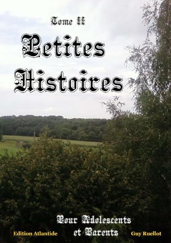 Lulu - Petites Histoires - Tom II - Pour adolescents et adultes