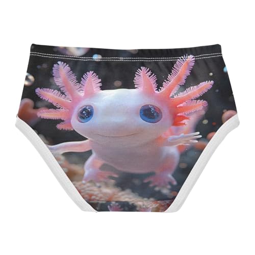 Cute Axolotl Undersea Toddler Girls's Underwear 2T 202b88342