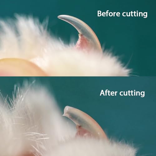 Image of Pet Cat Nail Clipper, Cat Nail Knife, Beginner Cat Claw Nail Clipper, pet Nail Clipper,cat Nail Scissors
