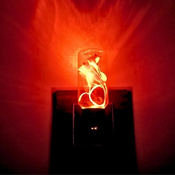 Neil-Kart Decorative 0.5 Watts Low Power Consumption LED Lamp with Plug for Bedroom, Living Room, Mandir. (LED Lamp Red Pack of 2)-image-0