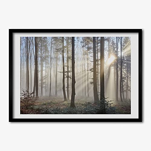 Photo Affiche Foret Tulup Cadre MDF pour Éveiller Vos Sens et Sublimer Votre Nid