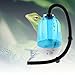 BIWASimple Terrarien-luftbefeuchter, Amphibien Reptilien-Nebel Ultra-Silent Mist Maker, Für Schlangen Schildkröten Echsen, Chamäleons, Frösche