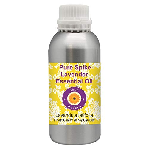 Huile essentielle de Lavande aspic pour calmer les irritations cutanées et piqûres 1250ml