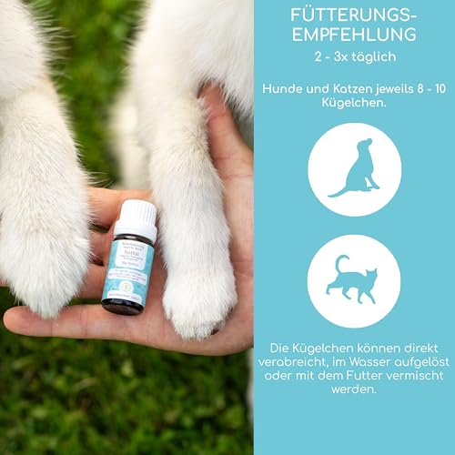 Wolfsbacher Notfall Bachblüten für Hunde & Katzen - 1.200 Globuli gegen Panik und Schock - 100% natürliche Beruhigungstabletten für Hunde - Anti-Schock Blütenmischung nach Dr. Bach