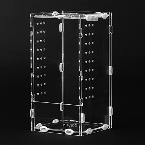 AIICIOO Schnecken Terrarium Acryl Reptilien Terrarium Mini Reptilien Transportbox Kunststoff Reptilienbox für Schnecken Spinnen Eidechsen Skorpione Käfer(20x10x10cm) AIICIOO Schnecken Terrarium Acryl Reptilien Terrarium Mini Reptilien Transportbox Kunststoff Reptilienbox für Schnecken Spinnen Eidechsen Skorpione Käfer(20x10x10cm)