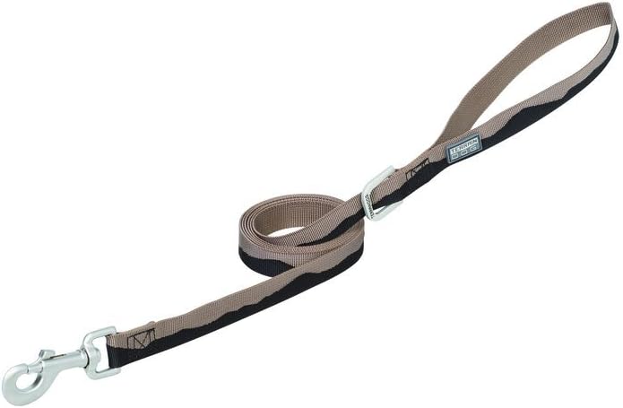 Terrain D.O.G. Patterned Leash : Pet Supplies