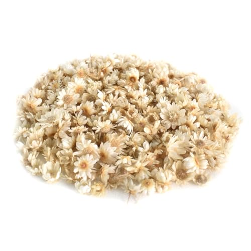 200 Flores Secas Pequeñas y Delicadas, Mini Flores Secas Naturales, Flores Prensadas para Resina, Velas, Fabricación de Jabón y Manualidades ((Color Natural))