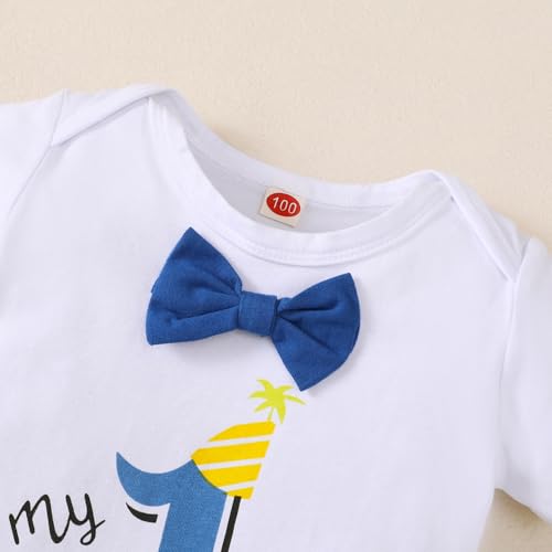Baby Boy Fun 1st Birthday Bow Tie Bow Tie Gentleman Adjustable Suspender Pants Sub Cake Set4