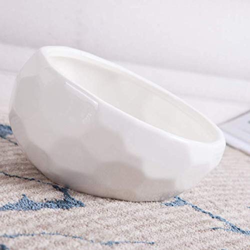 kathson Slanted Ceramic Dog Bowl Tilted 15° Cat Food Water Bowls Dish Animal Pet Comfort Feeding Bowls Heavy Weighted Feeder for Wet or Dry Food (White)