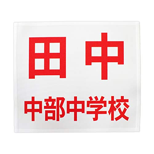 [bP _ 2iCAEg vg TCY30cm×25cm ӂD^Cv J[   