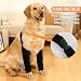 Ellenbogenbandage Hund, Weich Gepolsterte Ellbogenbandage für Haustiere, Ellbogenschoner für Hunde, Hund Chirurgie Erholung Recovery Sleeve für Vorderbeine von Wunden Hilft Bei Arthritis, Anti Lecken