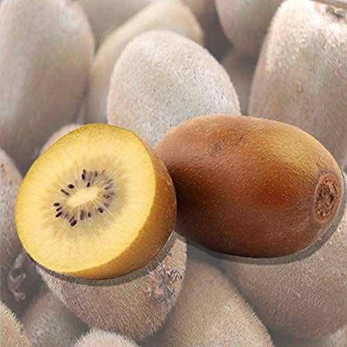 Amazon ニュージーランド産 ゼスプリ サンゴールドキウイフルーツ 約1kg 808青果店 キウイフルーツ 通販