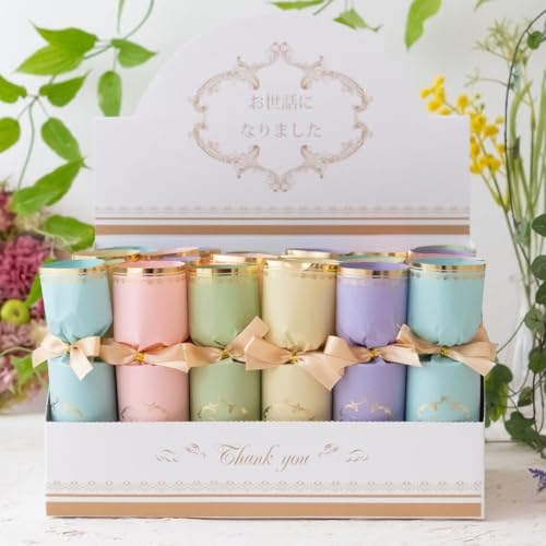  v`Mtg  N[ZbgBOX 24 bɂȂ܂ Mtg  hV̓ w q  ސE   ސE  Yx E َq   500~ 肪Ƃ oY x A RRTu