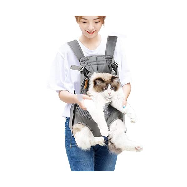 Dog-Carrier-Backpack-Legs-Out-Front-Facing-Pet-Carrier-Backpack-for-Small-Medium-Large-Dogs-Airline-Approved-Hands-Free-Cat-Travel-Bag-for-Walking-Hiking-Bike-and-Motorcycle Pawsome Adventures with Your Furry Friend - Dog Carrier Backpack