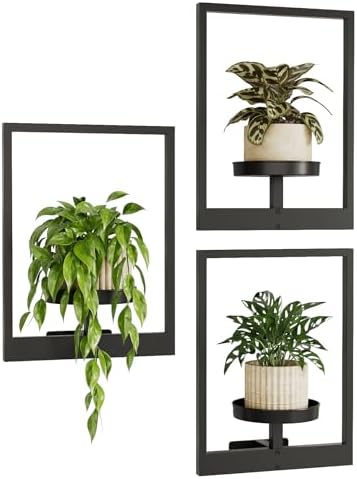 Bamworld Hanging Planters for Indoor Plants Wall Decor Living Roo...