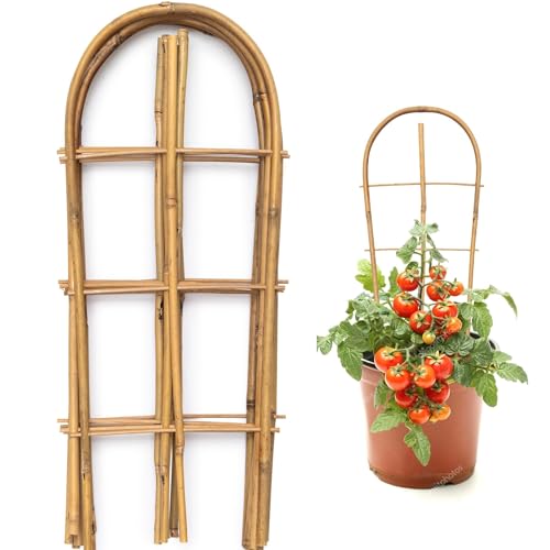 SWANGSA 10 Pack Bamboo Trellis for Climbing Plants, 16