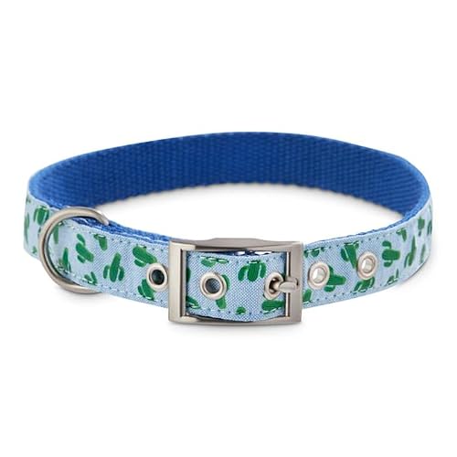 Bond & Co. Cosmo Cactus Dog Collar, Medium