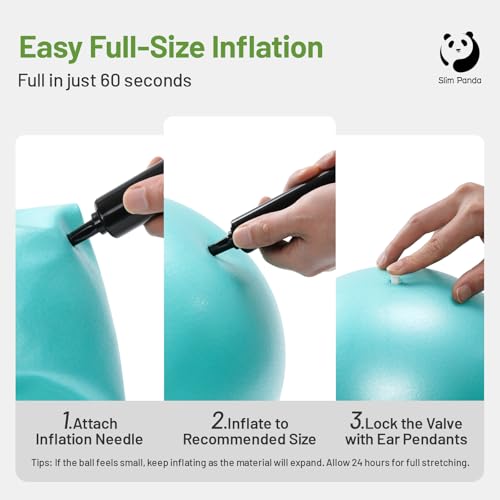 Image of Slim Panda Pilates Ball, 9 Inch Small Exercise Ball, Anti Burst Mini Yoga Ball for Stability, Workout, Barre, Core Strength, Physical Therapy, Balance, Stretching