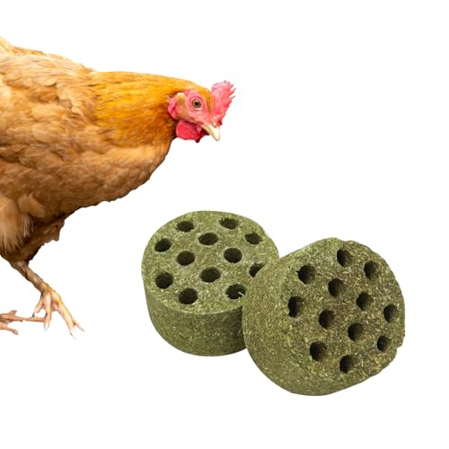 BingegePet 2 Pack Chicken Beak Timothy Grass Block Chicken Toys for Coop Enrichment Toys for Hens Ducks Geese Turkeys and Other All Poultry