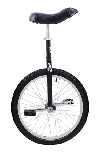 Riscko Monociclo 20 Pulgadas (Negro)