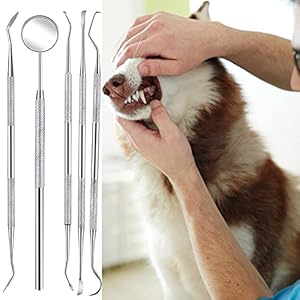 Teeth-Cleaning-Kit-Dog-Plaque-Tartar-Remover-Tools-Pet-Dental-Tooth-Scaler-and-Scraper-Silicone-Finger-Toothbrush-for-Puppy-Cats-Tooth-Pick-Stone-Remover-Dogs-Oral-Care-Hygiene-Cleaning-Tools-12Pcs - Cucciolini Doodles   Teeth-Cleaning-Kit-Dog-Plaque-Tartar-Remover-Tools-Pet-Dental-Tooth-Scaler-and-Scraper-Silicone-Finger-Toothbrush-for-Puppy-Cats-Tooth-Pick-Stone-Remover-Dogs-Oral-Care-Hygiene-Cleaning-Tools-12Pcs