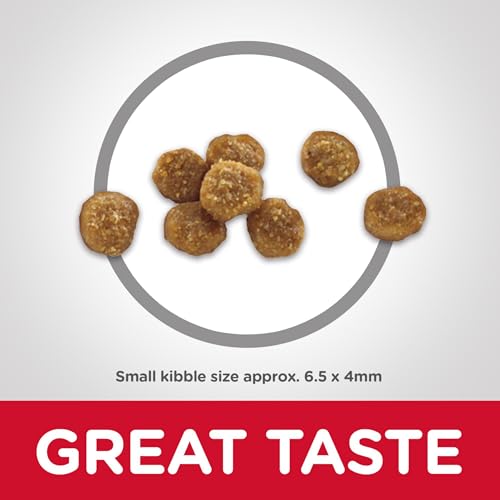 Hills-Science-Diet-Dry-Cat-Food-Adult-11-for-Senior-Cats-Chicken-Recipe-155-lb-Bag